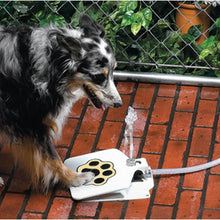 Load image into Gallery viewer, Dog Water Fountain - Step On Push Pedal Pet Water Fountain