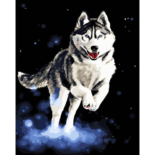 Husky dog painting. Digital oil painting by numbers home decoration unique gift craft paint with frame animal HL277