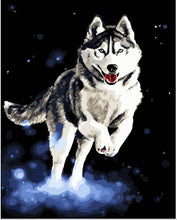 Load image into Gallery viewer, Husky dog painting. Digital oil painting by numbers home decoration unique gift craft paint with frame animal HL277