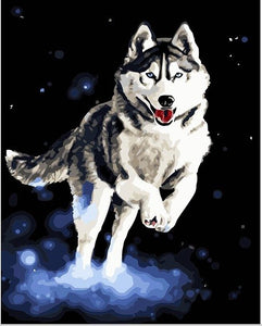 Husky dog painting. Digital oil painting by numbers home decoration unique gift craft paint with frame animal HL277