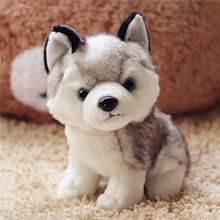 Load image into Gallery viewer, 1pcs Lovely Simulation Husky Dog Toy Stuffed Animals Plush Toys Cushions Gifts