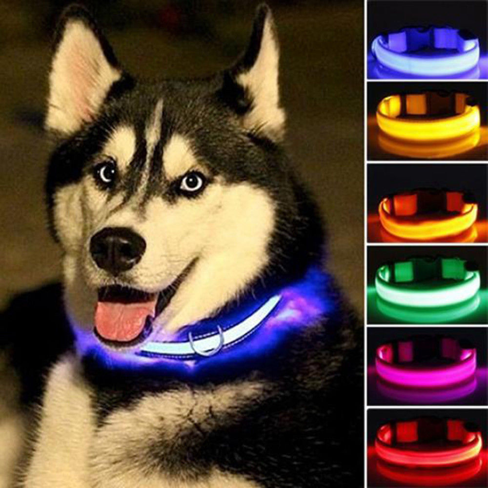 Nylon LED Dog Collar - Night Safety Walk