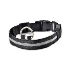 Load image into Gallery viewer, Nylon LED Dog Collar - Night Safety Walk