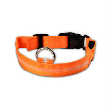Load image into Gallery viewer, Nylon LED Dog Collar - Night Safety Walk