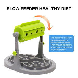 Pet Slow Feeder Toy