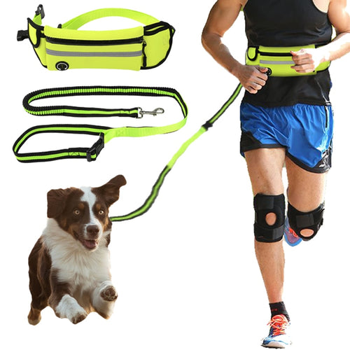 Hands-Free Retractable Dog Leash
